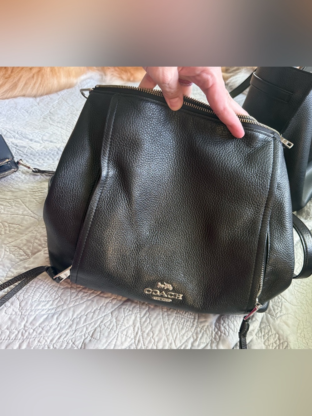 Coach Black Pebbled Leather Satchel/Crossbody